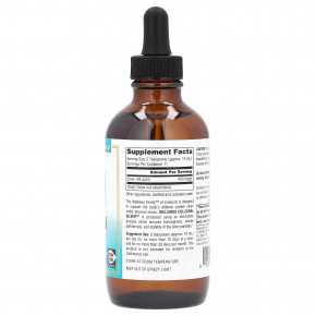 Source Naturals, Wellness, коллоидное серебро, 118,28 мл (4 жидк. унции) в Москве - eco-herb.ru | фото