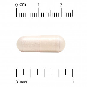 Super Nutrition, Boswellia Phytosome, фитосома босвеллии пильчатой с подсолнечным лецитином, 250 мг, 60 растительных капсул в Москве - eco-herb.ru | фото