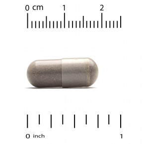 Super Nutrition, экстракт корицы, 60 растительных капсул (250 мг в 1 капсуле) в Москве - eco-herb.ru | изображение Super Nutrition, экстракт корицы, 60 растительных капсул (250 мг в 1 капсуле) в Москве - eco-herb.ru | фото