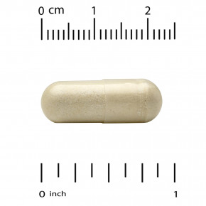 Super Nutrition, мультивитамины для беременных, с суперзеленью, комплексом специй, витамином C, холином и фолатом, 240 растительных капсул в Москве - eco-herb.ru | фото