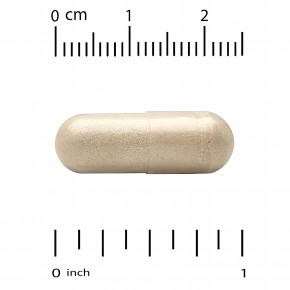 Super Nutrition, органический гриб-баран с имбирём, 60 вегетарианских капсул в Москве - eco-herb.ru | изображение Super Nutrition, органический гриб-баран с имбирём, 60 вегетарианских капсул в Москве - eco-herb.ru | фото