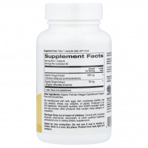 Super Nutrition, органический гриб чага с имбирём, 60 вегетарианских капсул в Москве - eco-herb.ru | изображение Super Nutrition, органический гриб чага с имбирём, 60 вегетарианских капсул в Москве - eco-herb.ru | фото