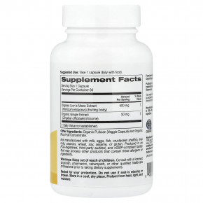 Super Nutrition, органический гриб ежовик гребенчатый с имбирём, 60 вегетарианских капсул в Москве - eco-herb.ru | изображение Super Nutrition, органический гриб ежовик гребенчатый с имбирём, 60 вегетарианских капсул в Москве - eco-herb.ru | фото