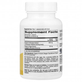 Super Nutrition, органический гриб кордицепс с имбирём, 60 вегетарианских капсул в Москве - eco-herb.ru | изображение Super Nutrition, органический гриб кордицепс с имбирём, 60 вегетарианских капсул в Москве - eco-herb.ru | фото