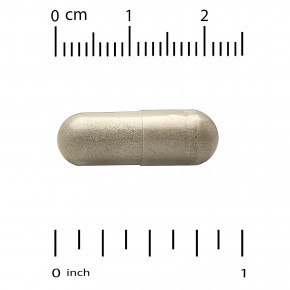 Super Nutrition, органический гриб кордицепс с имбирём, 60 вегетарианских капсул в Москве - eco-herb.ru | изображение Super Nutrition, органический гриб кордицепс с имбирём, 60 вегетарианских капсул в Москве - eco-herb.ru | фото