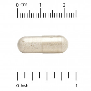 Super Nutrition, органический гриб рейши, 1 г, 60 растительных капсул (0,5 г в 1 капсуле) в Москве - eco-herb.ru | фото