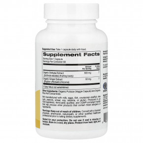 Super Nutrition, органический гриб шиитаке, имбирь, органический пуллулан и концентрат органической рисовой шелухи, 60 вегетарианских капсул в Москве - eco-herb.ru | фото