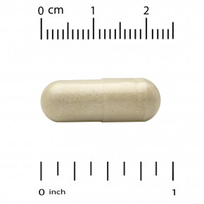 Super Nutrition, Super Immune+, мультивитамины с суперадаптогенами, витаминами C и D, цинком и бета-глюканом, 240 вегетарианских капсул в Москве - eco-herb.ru | фото