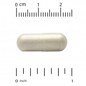 Super Nutrition, Think Support, с гинкго билоба, тюбетейкой, готу колой, бакопой и ферментами, 180 растительных капсул в Москве - eco-herb.ru | фото