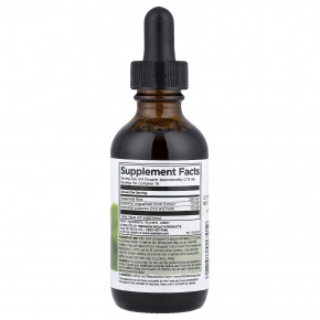 Swanson, жидкий экстракт эхинацеи и желтокорня, без спирта, 59 мл (2 жидк. унции) в Москве - eco-herb.ru | фото