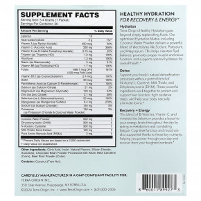 Terra Origin, Healthy Hydration +, чай со льдом из половины и половины лимонада, 30 пакетиков по 5,4 г (0,19 унции) в Москве - eco-herb.ru | фото