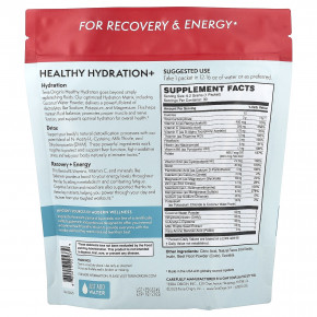 Terra Origin, Healthy Hydration+, клюквенный лаймад, 30 пакетиков On the Go, 6,2 г (0,22 унции) каждый в Москве - eco-herb.ru | фото