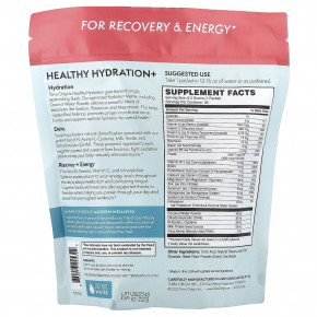 Terra Origin, Healthy Hydration+, Lemonberry Wave, добавка On the Go, 30 пакетиков по 6,2 г (0,22 унции) в Москве - eco-herb.ru | фото