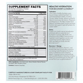 Terra Origin, Healthy Hydration +, лимонад, 30 пакетиков, по 5,8 г (0,20 унции) в Москве - eco-herb.ru | фото