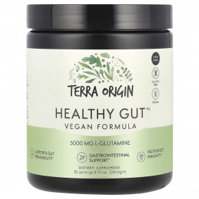 Terra Origin, Healthy Gut™, веганская формула, 246,6 г (8,7 унции) - описание | фото