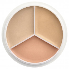 TFIT, Cover Up Pro, консилер, оттенок 03 холодный, 15 г (0,52 унции) в Москве - eco-herb.ru | изображение TFIT, Cover Up Pro, консилер, оттенок 03 холодный, 15 г (0,52 унции) в Москве - eco-herb.ru | фото