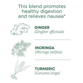 Traditional Medicinals, Organic Ginger Aid®, имбирь и лимонный мирт, без кофеина, 16 чайных пакетиков в упаковке, 32 г (1,13 унции) в Москве - eco-herb.ru | фото