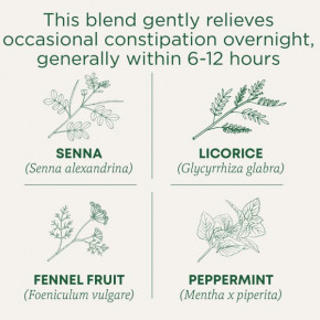 Traditional Medicinals, Organic Smooth Move®, перечная мята сенна, без кофеина, 16 упакованных чайных пакетиков, 32 г (1,13 унции) в Москве - eco-herb.ru | фото