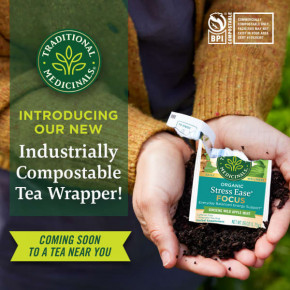 Traditional Medicinals, Organic Stress Ease® Focus, женьшень, дикое яблоко и мята, без кофеина, 16 чайных пакетиков в упаковке, 28 г (0,99 унции) в Москве - eco-herb.ru | фото