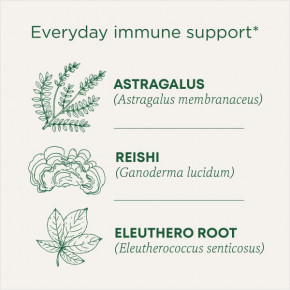 Traditional Medicinals, Organic Stress Ease® Immune, согревающая приправа с грибами рейши, без кофеина, 16 чайных пакетиков в упаковке, 28 г (0,99 унции) в Москве - eco-herb.ru | фото