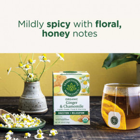 Traditional Medicinals, Органический имбирь, без кофеина, 16 чайных пакетиков, 24 г (0,85 унции) в Москве - eco-herb.ru | фото