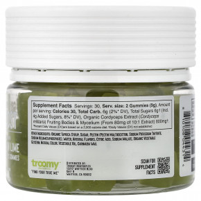 Troomy Nootropics, Boost, Functional Mushrooms Gummies, Lemon Lime, 60 Gummies, 9.52 oz (270 g) в Москве - eco-herb.ru | изображение Troomy Nootropics, Boost, Functional Mushrooms Gummies, Lemon Lime, 60 Gummies, 9.52 oz (270 g) в Москве - eco-herb.ru | фото