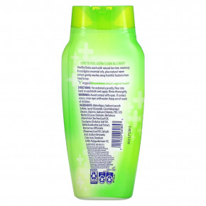 Vagisil, Healthy Detox, средство для полного очищения, 354 мл (12 жидк. унц.) в Москве - eco-herb.ru | изображение Vagisil, Healthy Detox, средство для полного очищения, 354 мл (12 жидк. унц.) в Москве - eco-herb.ru | фото