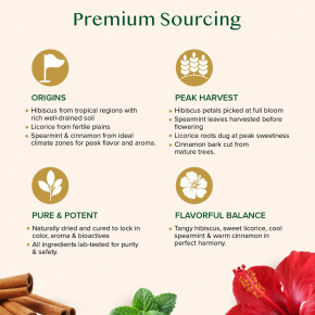 VAHDAM India, Infusions, травяной чай, гибискус, без кофеина, 100 пакетиков для заваривания, 180 г (6,35 унции) в Москве - eco-herb.ru | фото