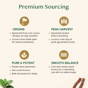 VAHDAM India, Infusions, травяной чай, мята колосистая, без кофеина, 100 пакетиков для заваривания, 120 г (4,23 унции) в Москве - eco-herb.ru | фото