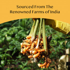 VAHDAM India, Infusions, травяной чай, набор из куркумы, без кофеина, 20 пакетиков для заваривания, 36 г (1,27 унции) в Москве - eco-herb.ru | фото