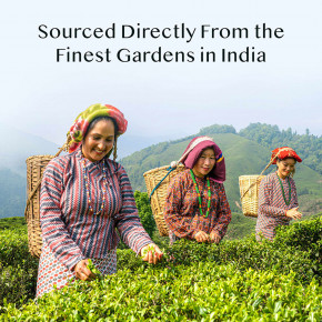 VAHDAM India, смесь для латте, куркума и имбирь, без кофеина, 100 г (3,53 унции) в Москве - eco-herb.ru | фото