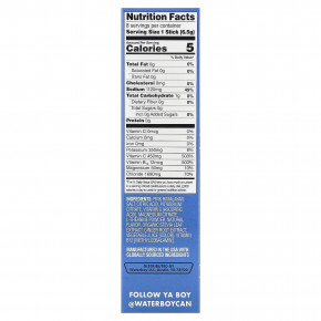 Waterboy, Weekend Recovery, смесь для приготовления напитков с электролитами для гидратации, со вкусом клубничного лимонада, 8 порционных стиков по 6,5 г (0,23 унции) в Москве - eco-herb.ru | фото