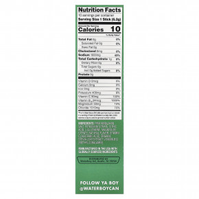 Waterboy, Workout Hydration, смесь для приготовления электролитического напитка, лимон и лайм, 10 пакетиков-стиков по 6,2 г (0,22 унции) в Москве - eco-herb.ru | фото