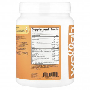 Wellah, The Afterglow, мультиколлагеновый протеин + красота, апельсин и манго, 534 г (1,2 фунта) в Москве - eco-herb.ru | изображение Wellah, The Afterglow, мультиколлагеновый протеин + красота, апельсин и манго, 534 г (1,2 фунта) в Москве - eco-herb.ru | фото