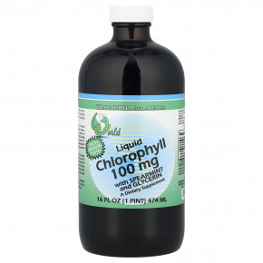World Organic, жидкий хлорофилл с мятой и глицерином, 474 мл (16 жидк. унций) - описание | фото