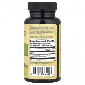 Zand, Пчелиный прополис, 2x эффективность, 60 капсул (400 мг на капсулу) в Москве - eco-herb.ru | изображение Zand, Пчелиный прополис, 2x эффективность, 60 капсул (400 мг на капсулу) в Москве - eco-herb.ru | фото